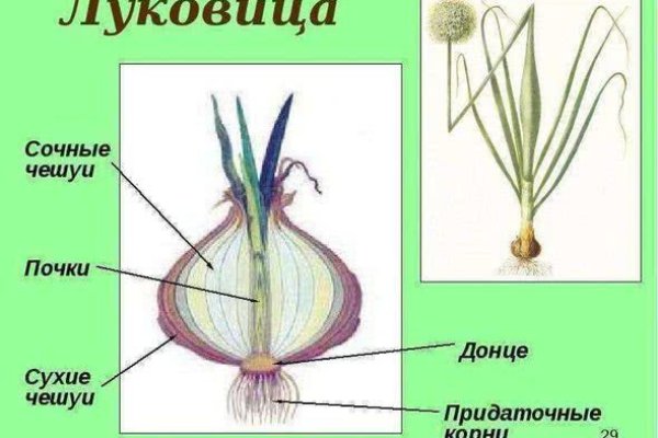 Кракен тор ссылка онлайн