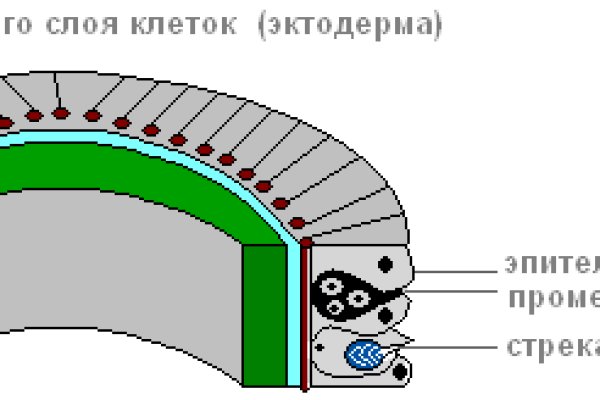 Кракен точка ат