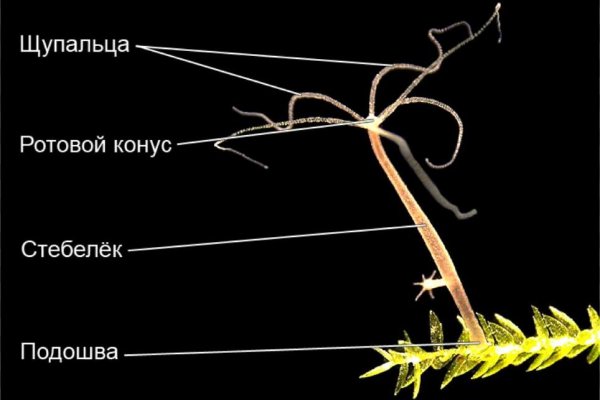 Вход в кракен даркнет