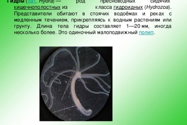 Кракен переходник ссылка